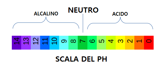 ph birra