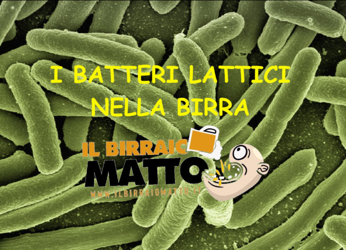 I BATTERI LATTICI