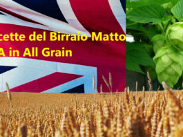 Ricetta IPA All Grain