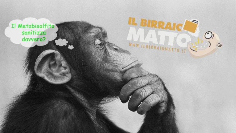 Il metabisolfito sanitizza? Il metabisolfito sanitizza?
