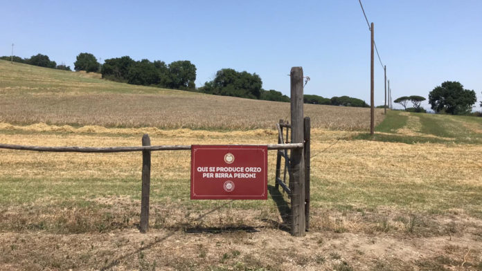 Campus Peroni: Investimenti e valorizzazione della filiera brassicola