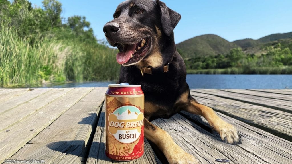 Busch Dog Brew con cane