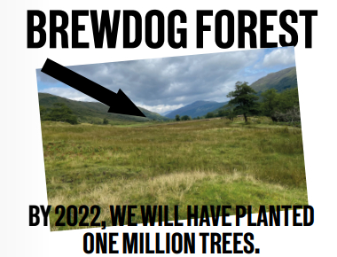 BrewDog Forest