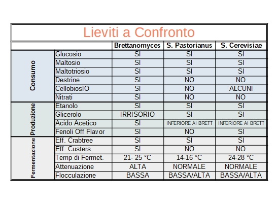 Tabella lieviti a confronto