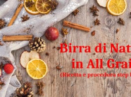 Birra di Natale (Christmas Ale) in All Grain: la ricetta per realizzarla in casa