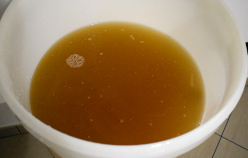 fermentatore con mosto per inoculo del lievito