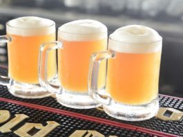 Quanta birra si può bere al giorno? Tutta la verità sul suo consumo!