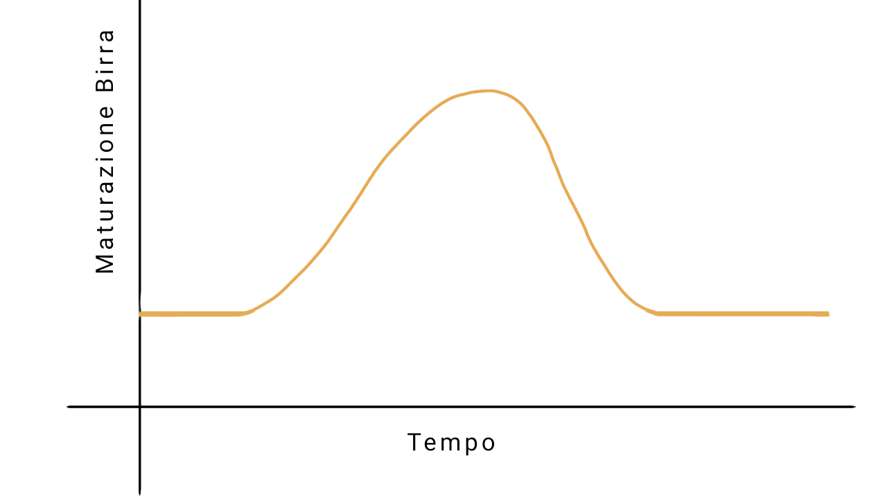 Grafico maturazione birra